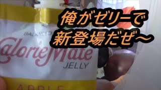 大塚製薬　カロリーメイトゼリーアップル味を飲んでみた これで元気一杯だ！！