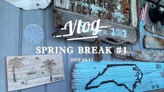 Travel Vlog #01 「BAHAMAS」/2019春假说走就走的巴哈马之旅/小猪岛/鲨鱼岛/蜥蜴岛/跟动物们亲密接触/海鲜大餐