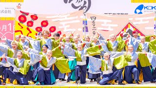 [4K] 岡山うらじゃ連 四季　うらじゃ 2024 (おかやま桃太郎まつり) 1日目　下石井公園演舞場 (中央)