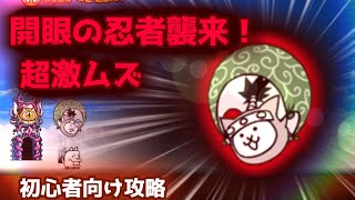 【開眼の忍者襲来！】初心者向け 忍者進化への道 超激ムズ 攻略【にゃんこ大戦争】