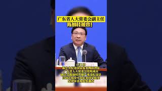 #shorts 广东省人大常委会副主任陈如桂被查，曾任深圳市长 #反腐倡廉