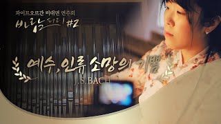 [바람피리 프로젝트#2] 예수,인류 소망의 기쁨(J.S.Bach) - 양하영 교수