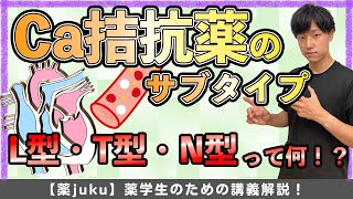 【高学年でつまずく...】Ca拮抗薬のサブタイプをテスト対策用に解説！