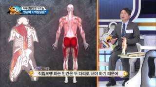 [예능]나는 몸신이다_1회