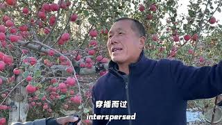 黄河 中国人的母亲河 Chinese Mother River