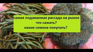 Самая продаваемая рассада на рынке. Что сажать? Какие семена покупать?