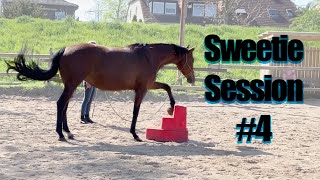 Sweetie Session #4 - Vertrauen, Fokus, Losgelassenheit