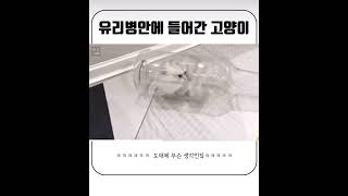 어떻게 들어간거지