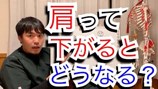 【岡崎市 腰痛 整体院】今更聞けない！肩下がるとどうなるの？