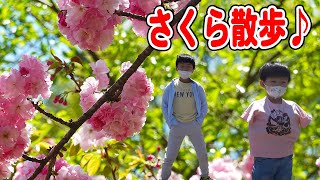 【お花見散歩】天平の丘公園