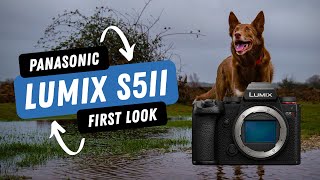 Panasonic LUMIX S5II | Hybrid Phase Detection Auto-Focus