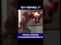 동물 웃긴영상 혹시 사람이세요 동물사랑 동물스타그램