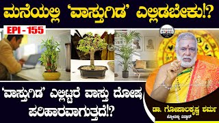 ಮನೆಯಲ್ಲಿ 'ವಾಸ್ತುಗಿಡ' ಯಾವ ಭಾಗದಲ್ಲಿಡಬೇಕು? ಎಲ್ಲಿಟ್ಟರೆ ಕಷ್ಟ ನಷ್ಟ ದೂರವಾಗುತ್ತದೆ?|GopalaKrishna Sharma E155