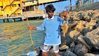 தொடர்ந்து தூண்டியலில் பார் மீன் பிடித்து அசத்திய ஜெய்சன் | Wind Fisherman