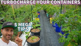 Do This NOW To Turbocharge Your Container Garden!
