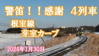 【警笛鳴らしてくれた、４列車】2024年1月30日　芽室カーブを走る　貨物列車（DF200）、DECMO、特急おおぞら　根室線にて