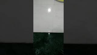 🎈Balloon Vs Coin || Easy Experiment || #Short #viralshort #Experiment