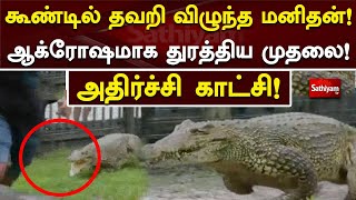 கூண்டில் தவறி விழுந்த மனிதன்!! ஆக்ரோஷமாக விழுங்க துரத்திய முதலை!! அதிர்ச்சி காட்சி !! | Sathiyam Tv