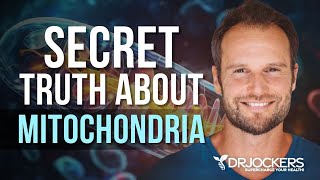 Unlock the Secret to Energy and Longevity: What You Need to Know About Mitochondria!