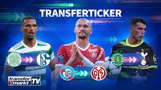 Schalke vor Jenz-Transfer / Mainz holt neuen Stürmer / Spurs wollen Sportings Porro | TRANSFERMARKT