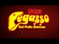 Grupo Pegasso 