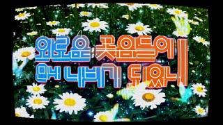 크라잉넛 (CRYING NUT) 외로운 꽃잎들이 만나 나비가 되었네 (Lonesome Petals Came Together To Become A Butterfly) MV