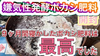 今年の1月に仕込んだ嫌気性発酵ボカシ肥料を開封してみた！2022/10/19