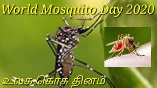 World Mosquito Day 2020 ll உலக கொசு தினம் 2020