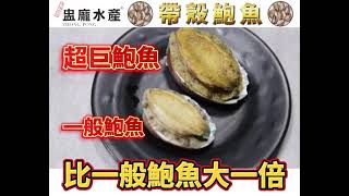 [盅龐水產] 帶殼鮑魚10p (一包10顆)