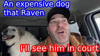 ⁭Life @ OFF GRID homestead 68 The days go by so fast | That's an expensive dog that Raven!