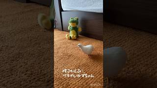 喋るカエルに、ブチギレるヒメウズラのゆずちゃん　Quail Yuzu-chan is irritated by the talking frog