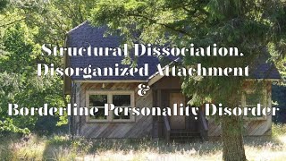 Structural Dissociation, Disorganized Attachment and Borderline Personality Disorder PATREON CLIP