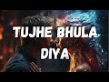 Tujhe Bhula Diya - (slowed and reverb Hindi song) slow and reverb Bollywood song - Hindi sad song