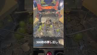 【バベルの塔W】300枚の押し出し！#ゲームセンター #メダルゲーム #バベルの塔W#バベルの塔