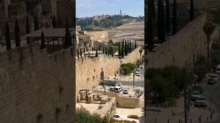 Temple Mount 🌟 City of David 🇮🇱 Jerusalem Israel❤️🙌🏻 HolyLand #israel #jerusalem #viral