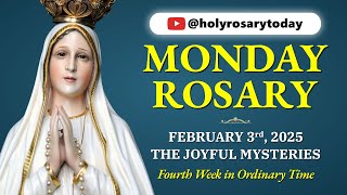 MONDAY HOLY ROSARY 💙 FEBRUARY 3 2025 💙 THE JOYFUL MYSTERIES OF THE ROSARY [VIRTUAL] #holyrosarytoday