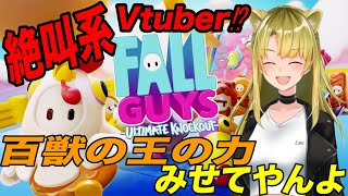 【初見歓迎/Fall Guys】Fallguys初心者I am　King✌【新人Vtuber/百花ジュノ】