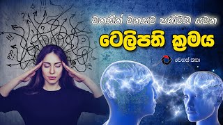 🧠Is Telepathy Real? | How to do telepathy in step by step (SINHALA)🧘