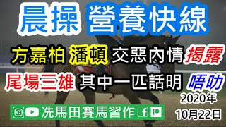 方嘉柏潘頓交惡內情揭露.../尾場三雄其中一匹幕後話明「唔叻」...--《晨操營養快線》2020年10月22日