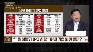 [소영주의 장외주식 상식투자] 올 하반기 IPO 시장…어떤 기업 봐야 할까? / 머니투데이방송 (증시, 증권)