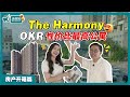 The Harmony | Old Klang Road 性价比最高的公寓！ #房产开箱#WOWUKNOW