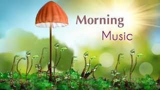 Morning Relaxing Music - Beautiful Piano Music For Stress Relief with Positive Energy