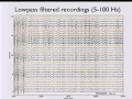 Bruno Olshausen - Finding spatiotemporal patterns of activity in large-scale neural recording data