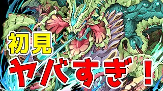 ゼレンバス初見プレイ！このダンジョンヤバすぎ！！【パズドラ】