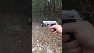 Walther TPH .22 cal slow motion