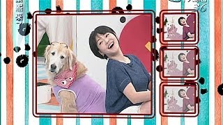 2014.06.16康熙來了　神犬才藝大賽！《上》