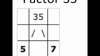 Factor A 35