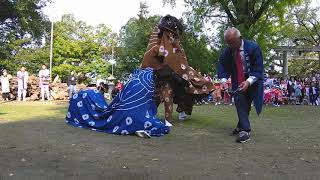 2019 福智町金田稲荷神社神幸祭 1区獅子楽