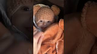 cute baby #🥰🥰#fabulous #like #share#subscribe👍👍👍👍👍👌👌👌👌