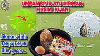 UMPAN BPJS MUSIM HUJAN‼️JITU DI REBUS SOLUSINYA MURAH GACOR DAN MURNI TANPA ESSEN MANCING IKAN MAS